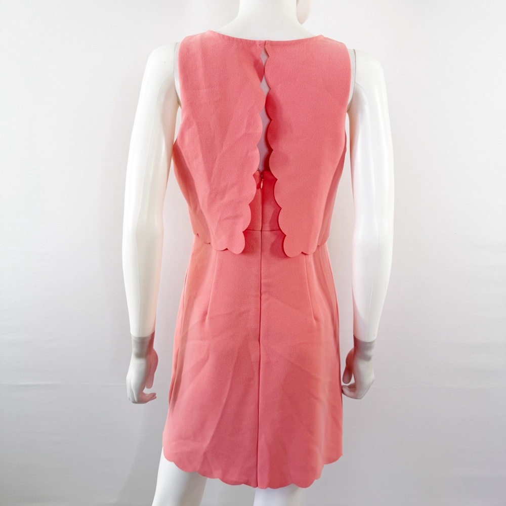 LOFT Pink Overlay Shift Dress Size 4P Knee Length Party Cocktail Easter Church - Picture 3 of 8